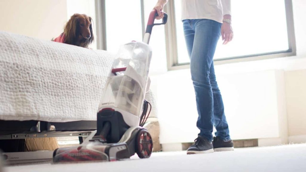 Best Canister Vacuum 2023