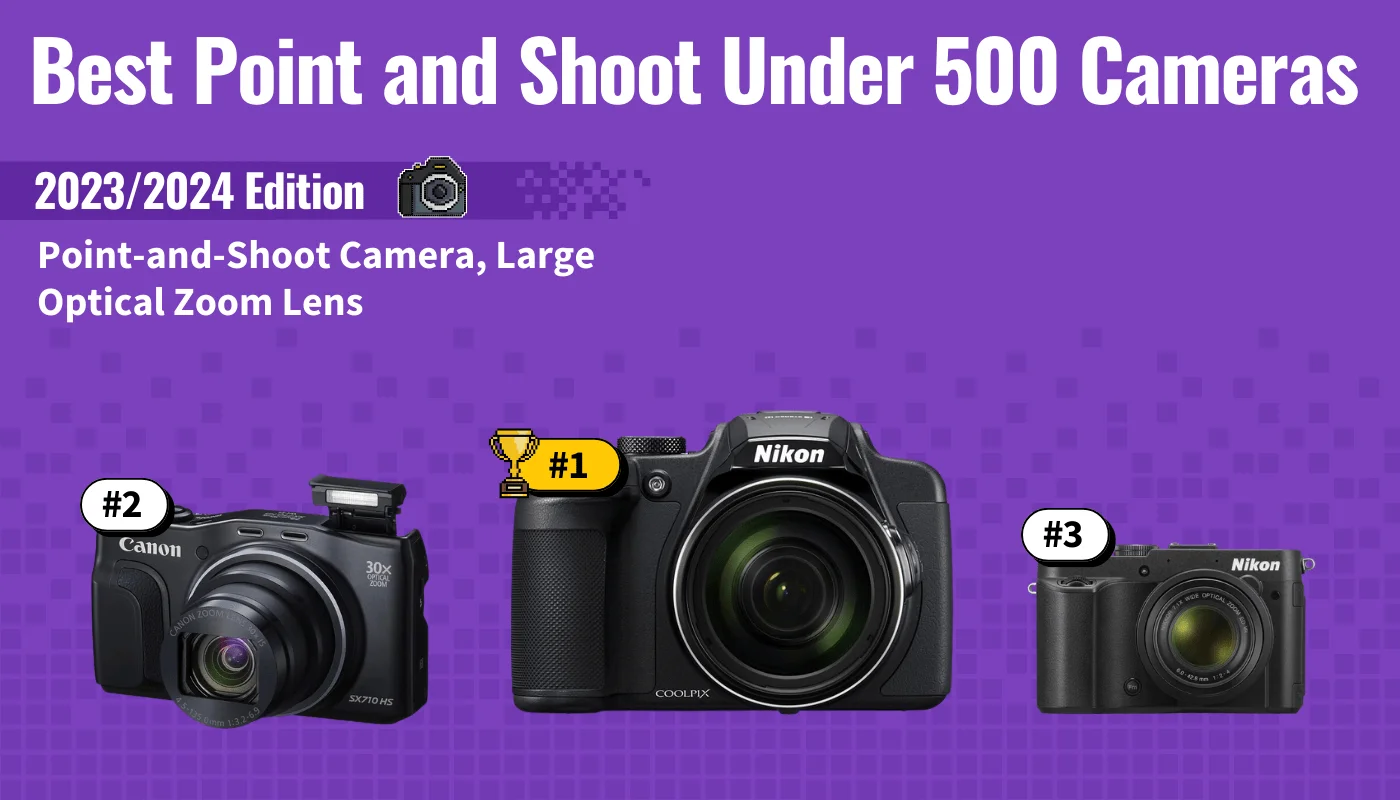 Best Point and Shoot Under 500 Cameras