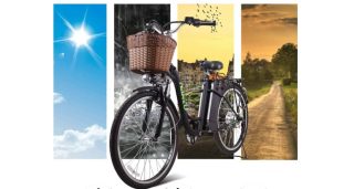 250W Cargo Electric Bicycle 6-Gear Speed Sporting Ebike