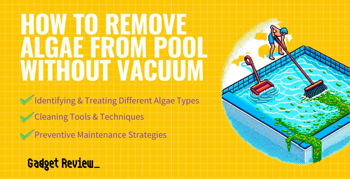 How To Remove Algae From A Pool Without Vacuum