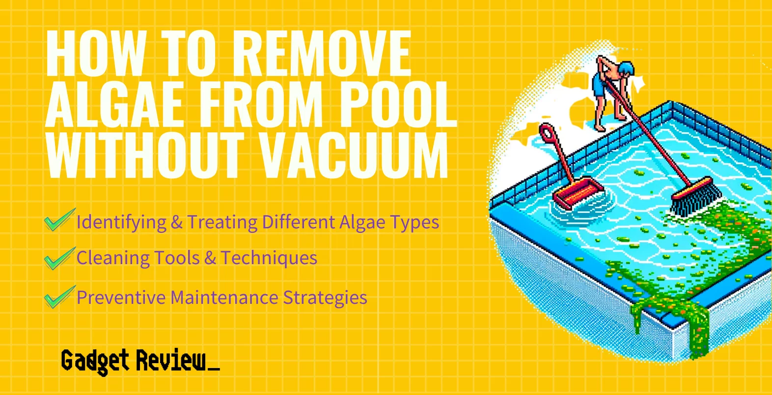 How To Remove Algae From A Pool Without A Vacuum