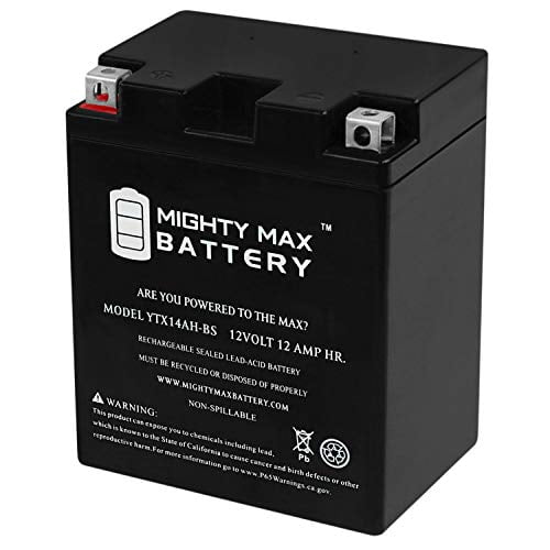 Mighty Max Battery YTX14AH-BS