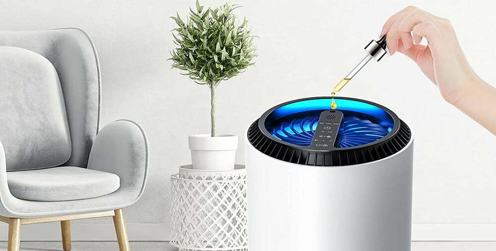 Filter vs. Filterless Air Purifier