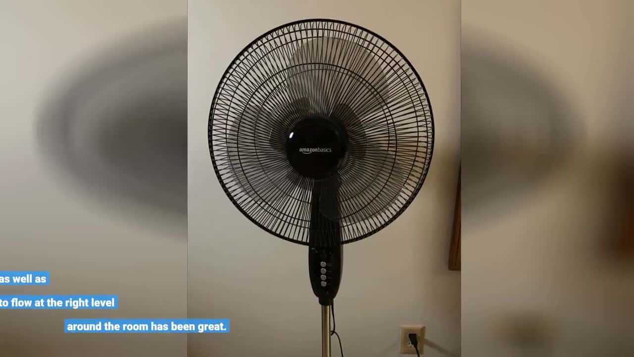Dual Blade Standing Pedestal Fan Review 