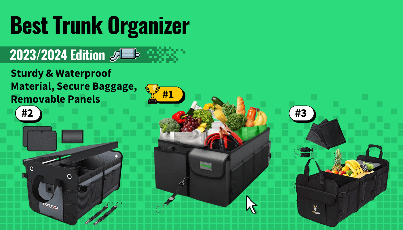 Best Trunk Organizer