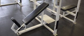 Apex Strength Bench Review