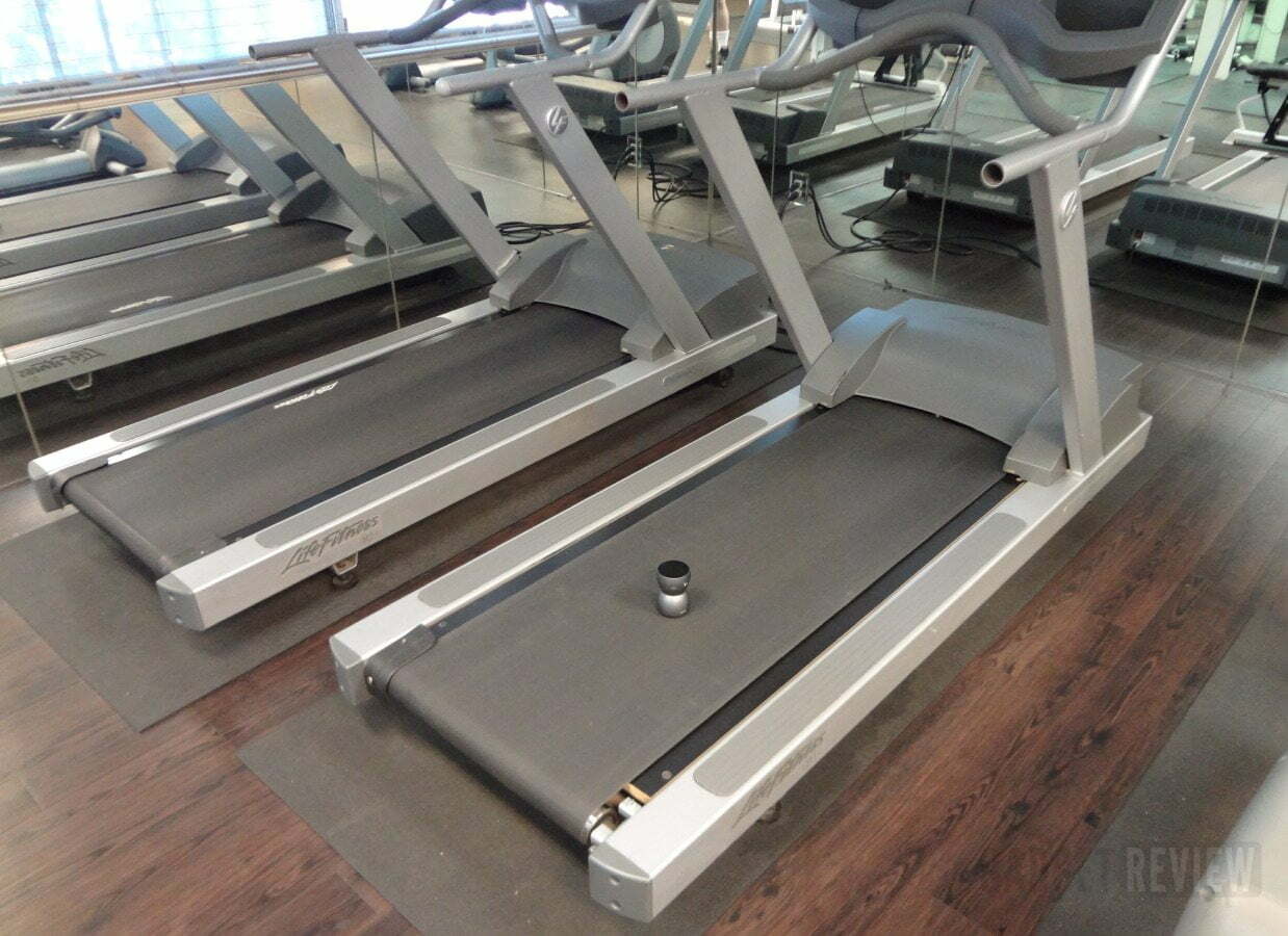 Bass Egg on treadmill