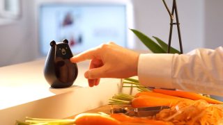 Bearbot Main remote|