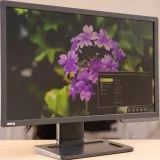 BenQ ZOWIE XL2411P 24 Inch 144Hz Gaming Monitor Review