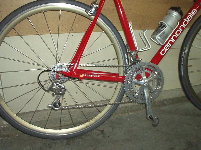 Cycle chain