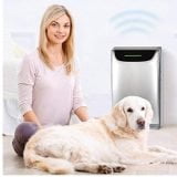Dreval D-950 Air Purifier Review