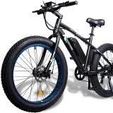 ECOTRIC Fat Tire 500W Bike Review