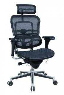 The adjustable lumbar support in the Ergohuman High Back Mesh chair provides good support for the lower back.