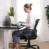 Ergonomic Office Chair Lumbar Support Mesh Chair Review
