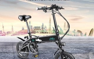 FIIDO D1 Folding Electric Bike Review