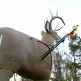 Field Logic GlenDel Archery Replaceable Review
