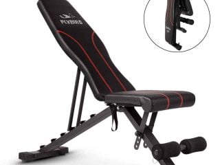 Flybird Adjustable Bench Review