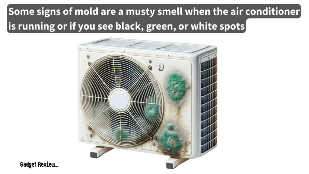 Handling Mold in an Air Conditioner