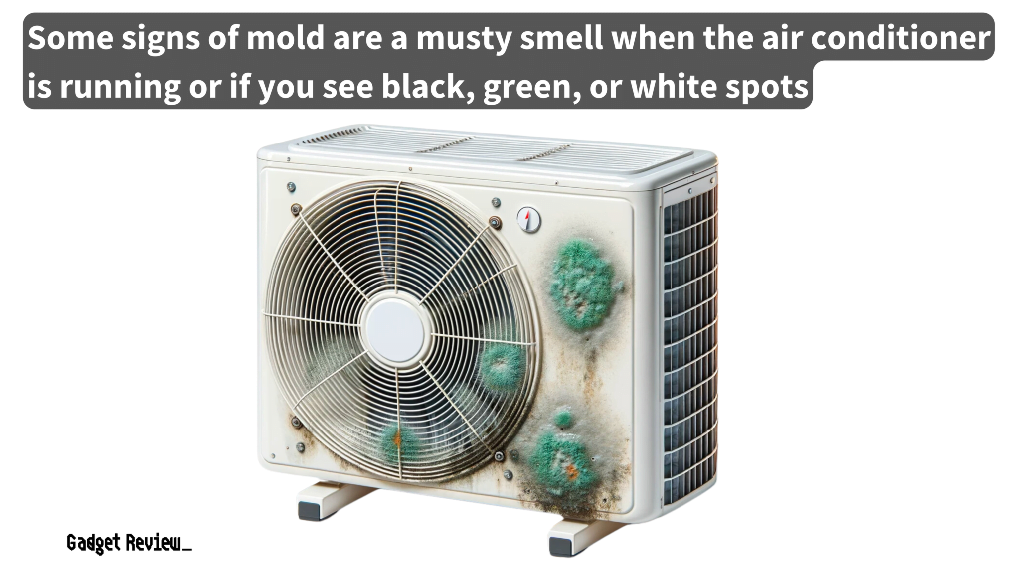 Mold In Air Conditioner How To Clean Out A Moldy AC