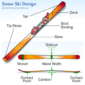 Ski Design and Construction