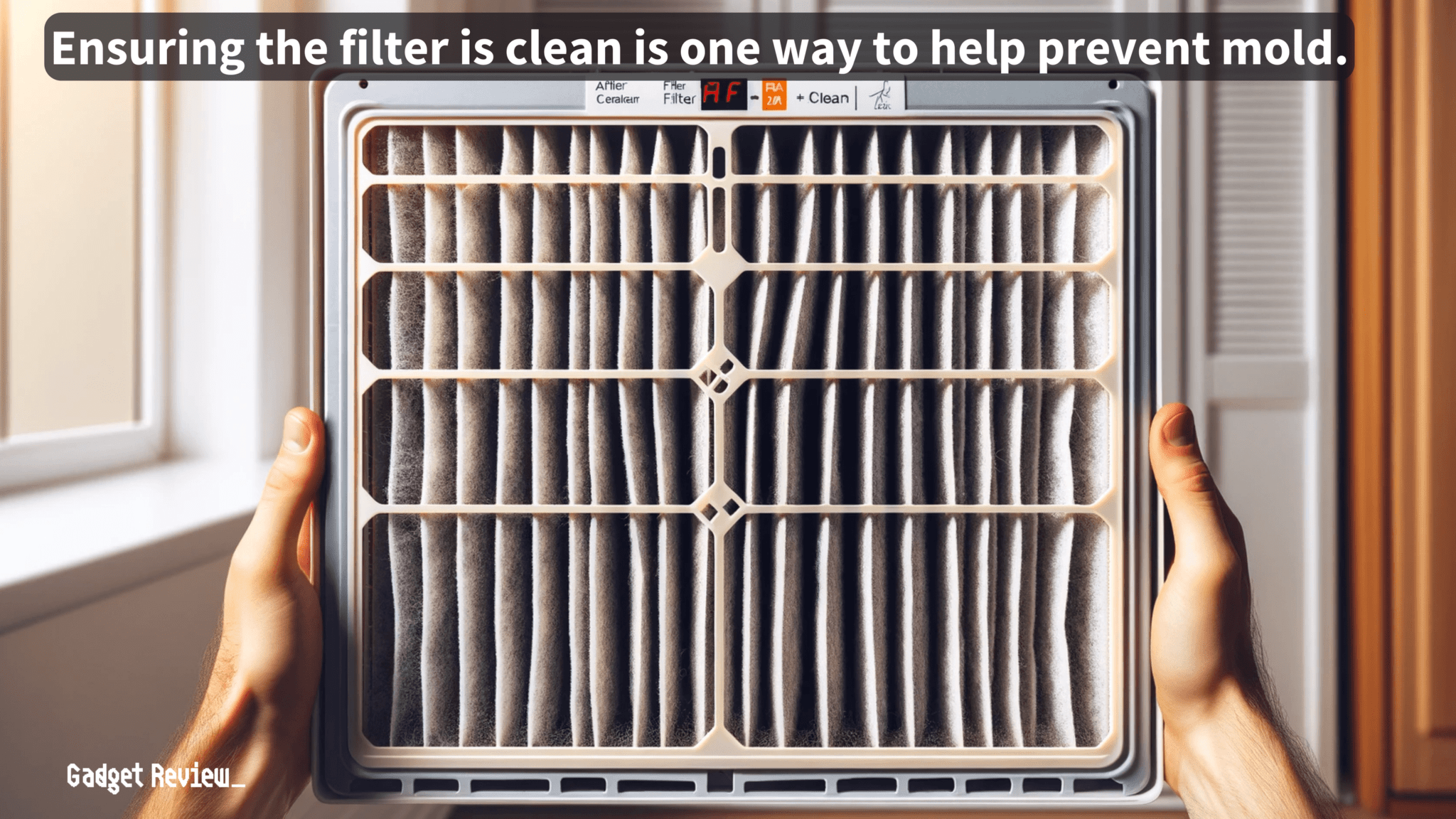 Mold In Air Conditioner How To Clean Out A Moldy AC