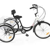 Komodo Cycling 24 Tricycle Review