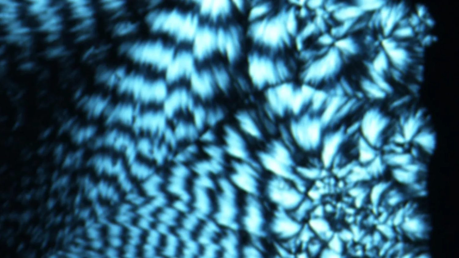 A DNA-Based Memory Chip Could Rewrite How We Store Data