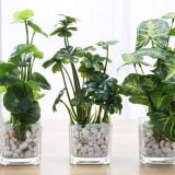 MyGift Artificial Plants Tabletop Greenery Review