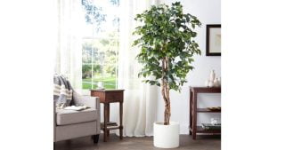 Nearly Natural 5209 Ficus Silk Tree Review