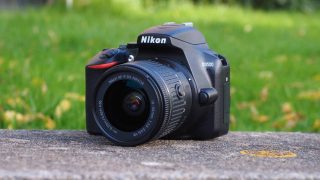Nikon D3500 Review