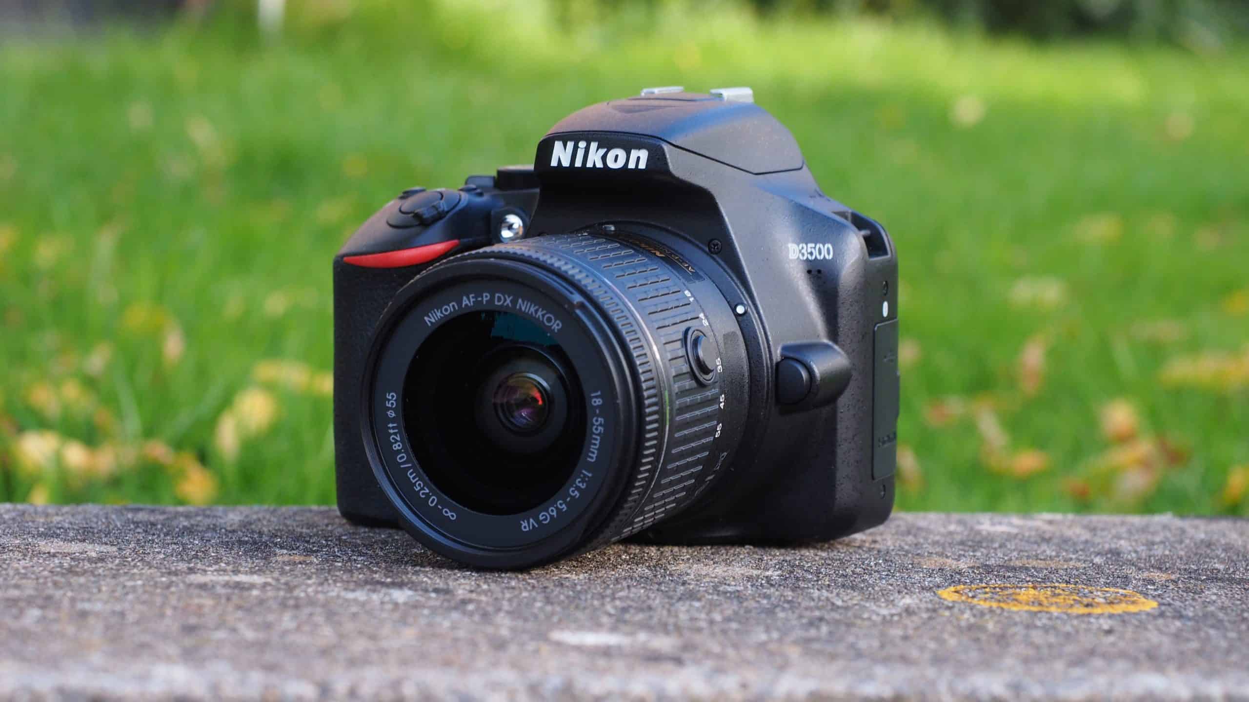 nikon d3500 camera reviews