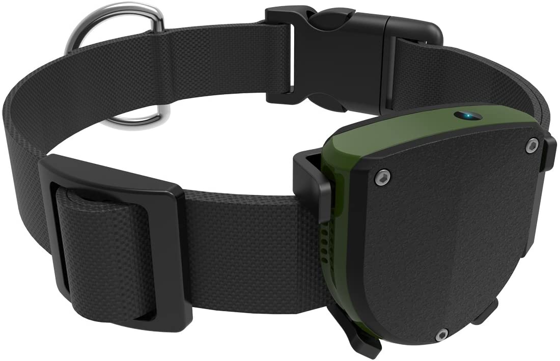 Pet Finder GPS Review
