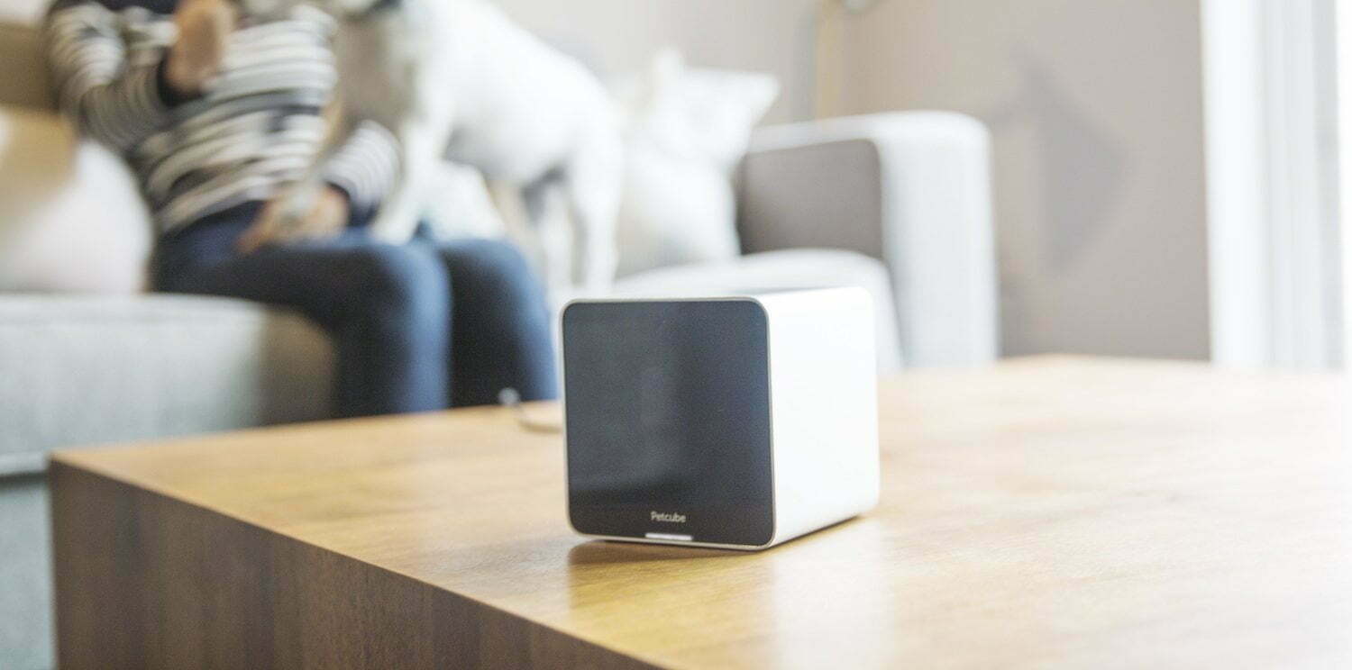 Petcube Camera Review Gadget Review