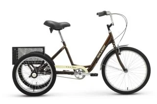 Raleigh Tristar Tricycle Review