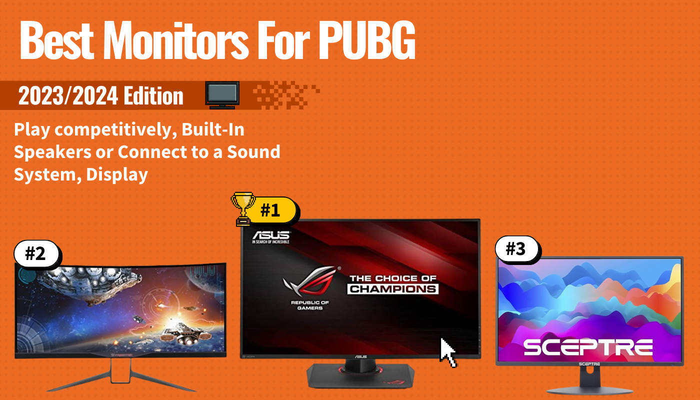 Best Monitors For PUBG