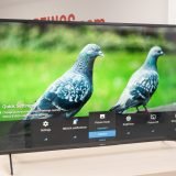 Sony XBR43X800H Review