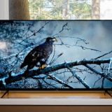 TCL 50" 5-Series 4K UHD Dolby Vision HDR QLED Roku Smart TV Review