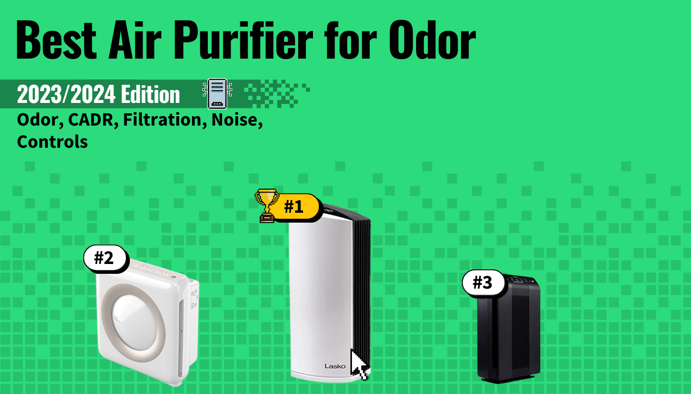Best Air Purifiers For Odor