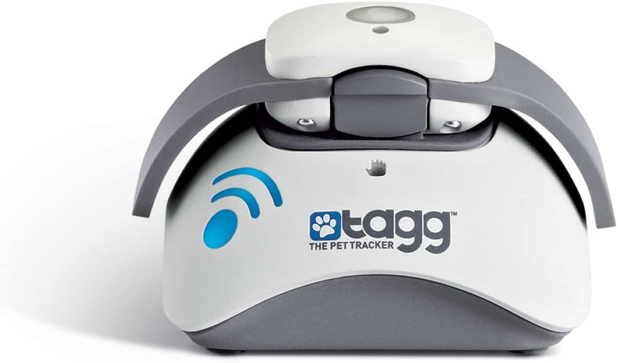 Tagg Pet Tracker Review