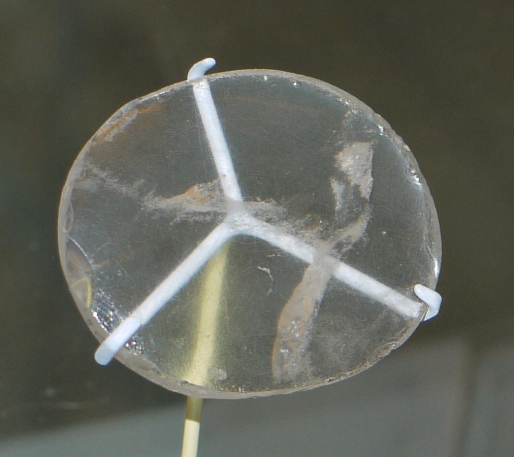 The Nimrud Lens