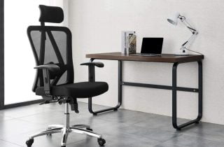 Ticova Ergonomic Office Chair Review
