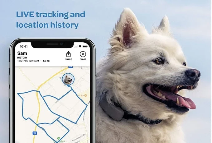 Tractive GPS Dog Review