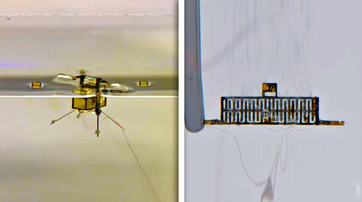 Mit Police Insect RoboBees: Why is MIT Making Robot Insects? - Gadget Review