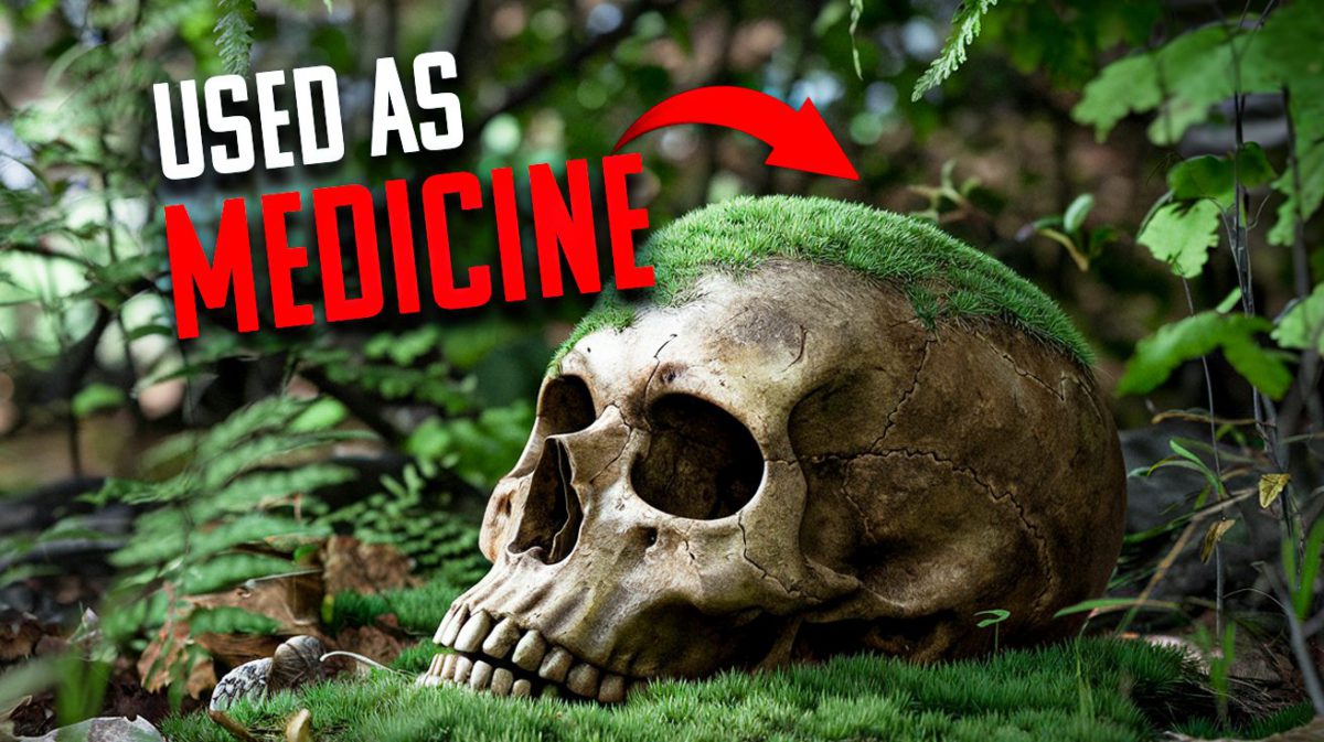 Unfathomable Science 23 Unsettling Science Facts That Sound Made Up (But Aren’t) - Gadget Review