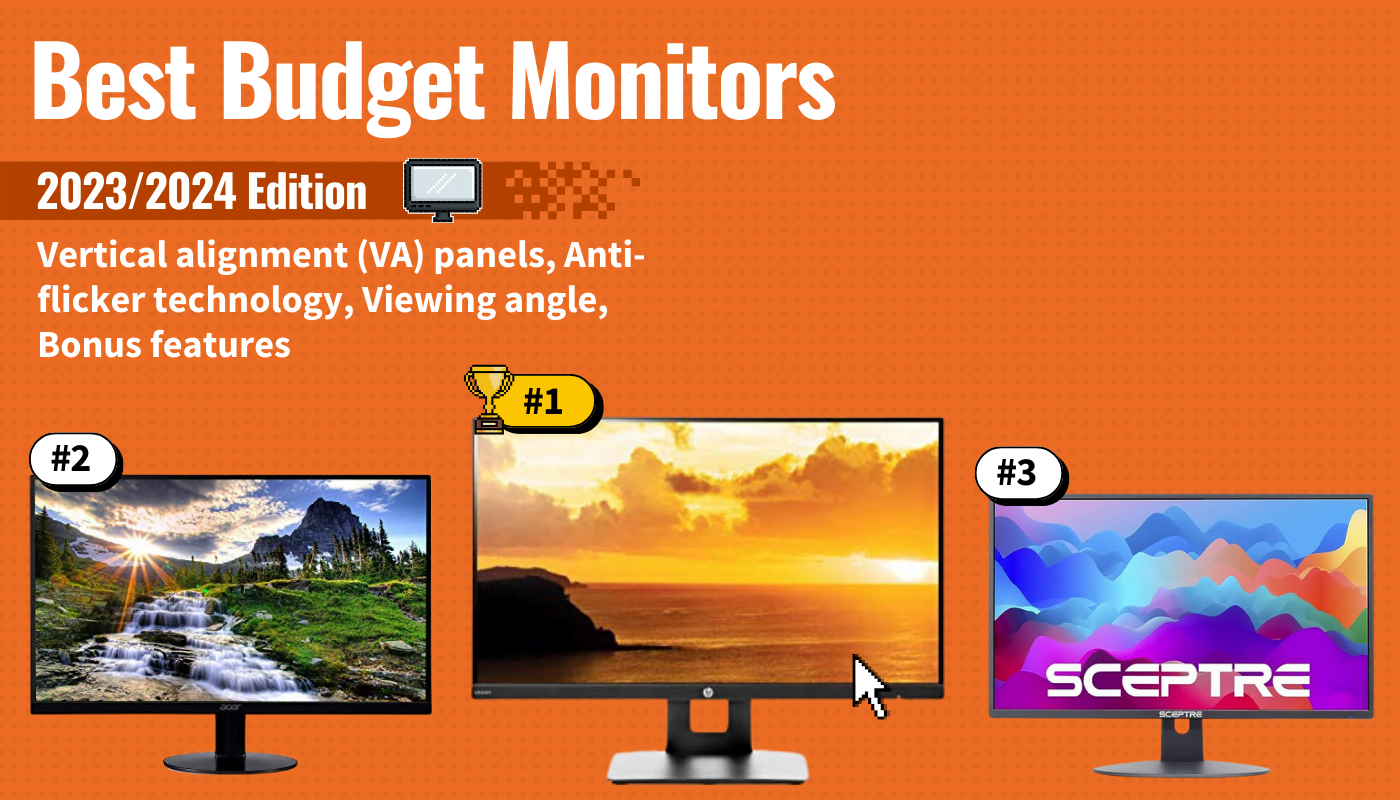 best budget monitors featured image that shows the top three best computer monitor models