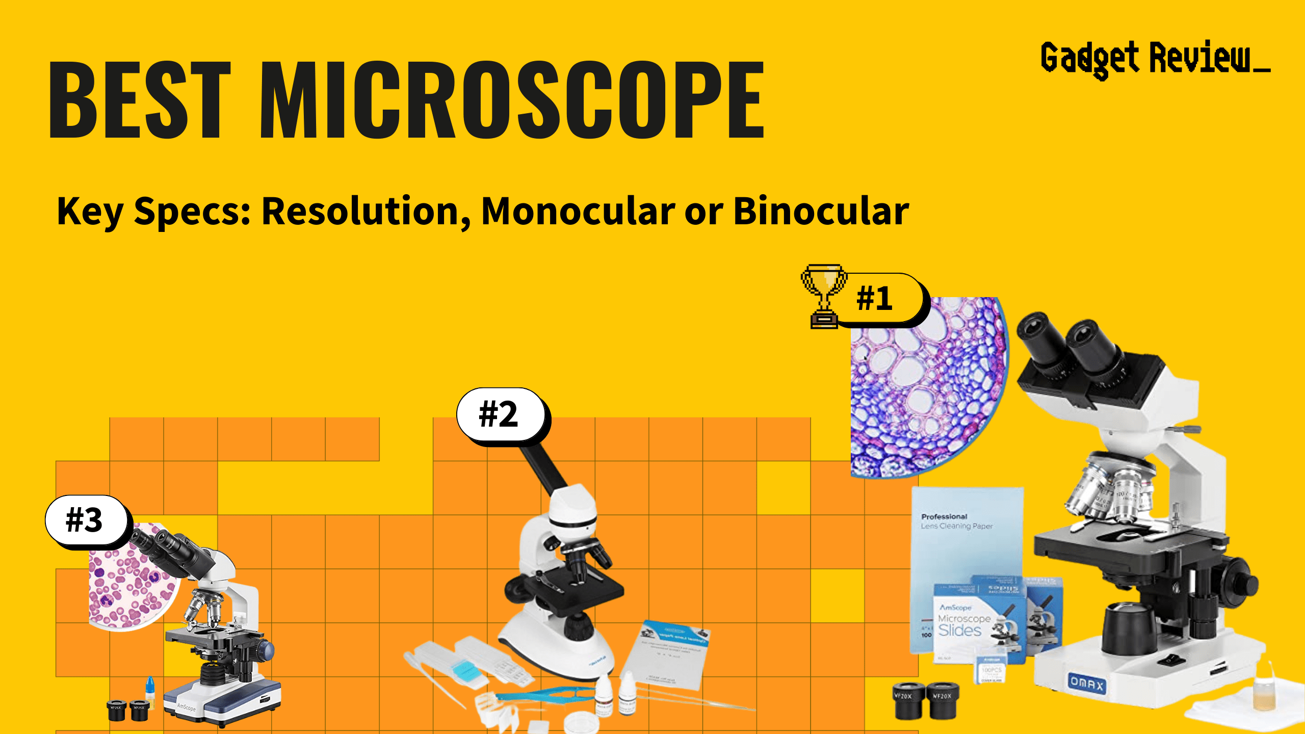 best microscope featured image that shows the top three best toys & game models