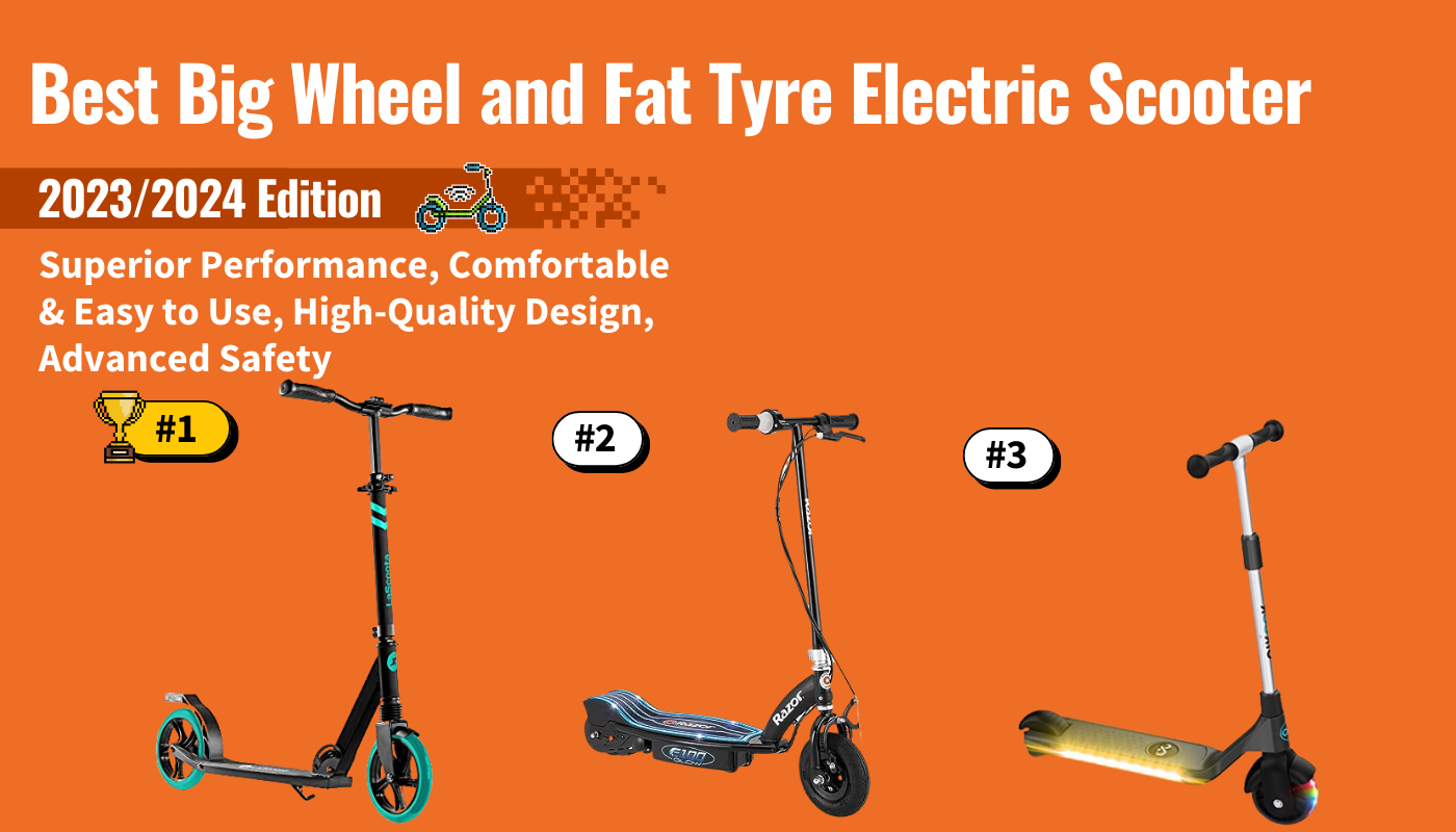Best Big Wheel and Fat Tyre Electric Scooter