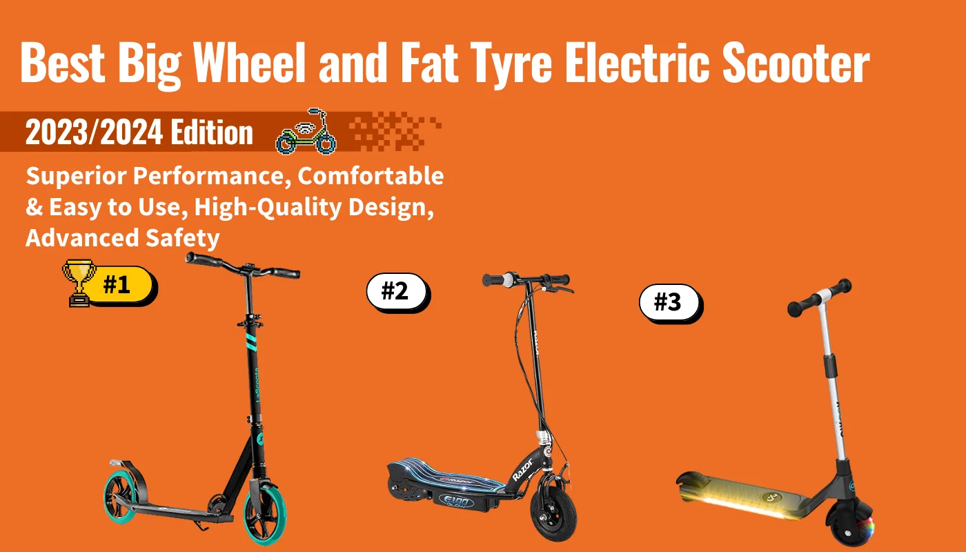 Best Big Wheel and Fat Tyre Electric Scooter