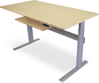 Learn about the pros/cons of the Actio Standing Desk.|Action standing desk controls