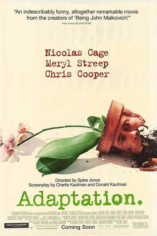 adaptation